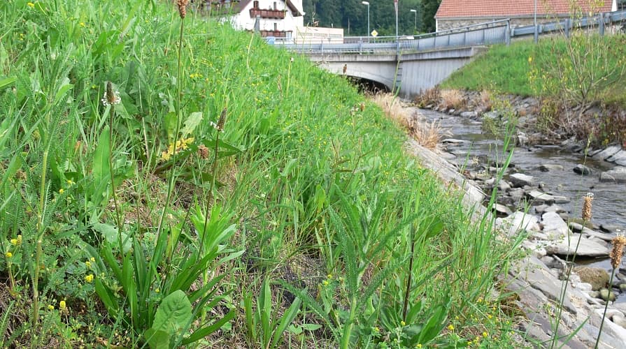 Trvalá georohož chrání břeh potoka