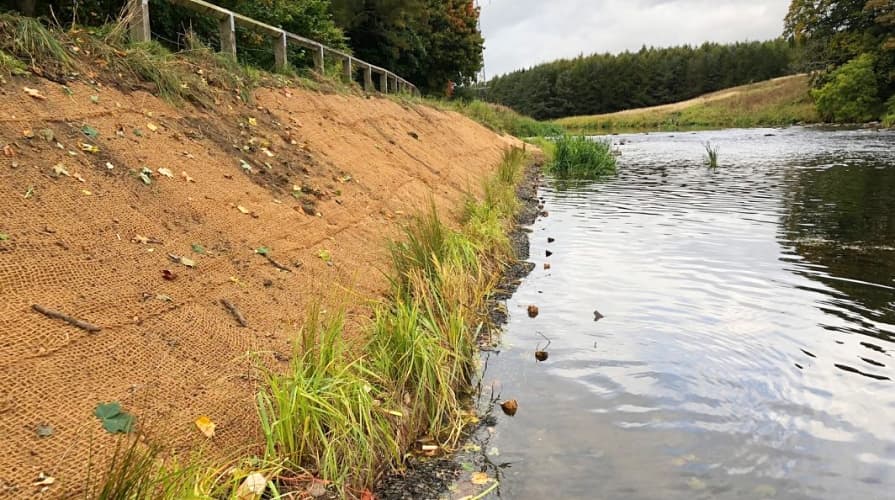 Kokosová síť na břehu řeky
