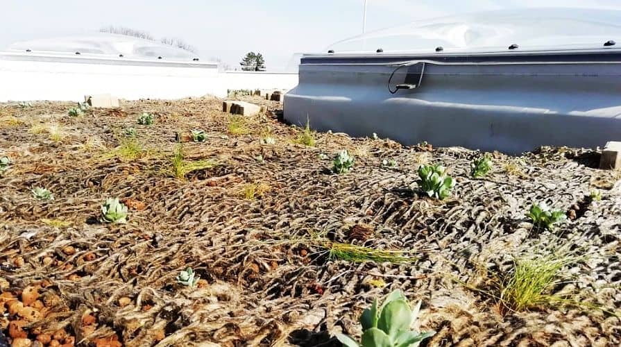 Georohože na zelených střechách