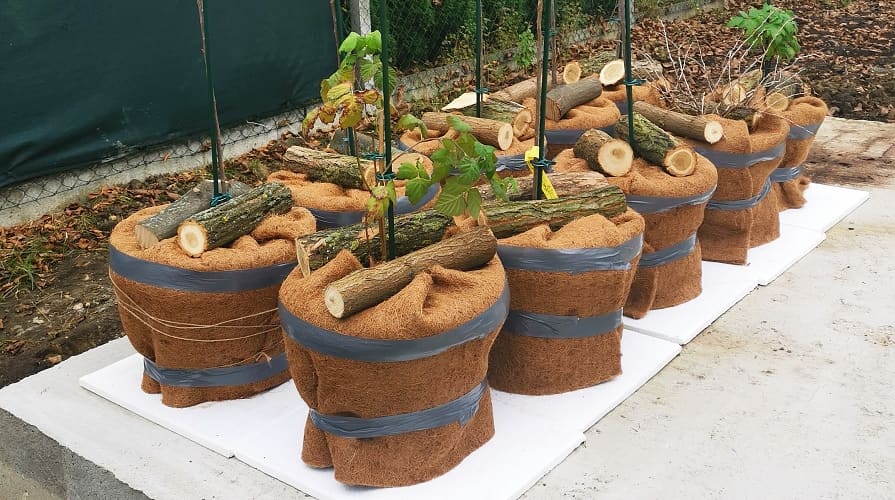 Kokosová rohož proti mrazu