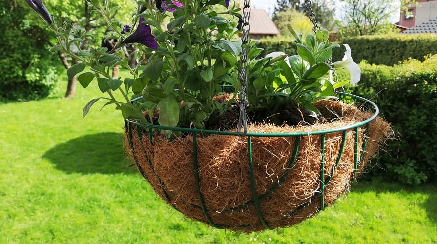 Kokosová rohož jako květináč