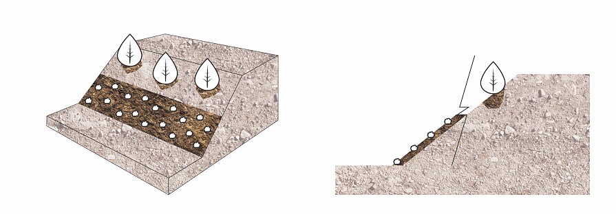 Ozelenění svahu po pokládce protierozní georohože